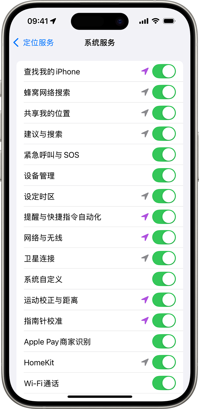 iPhone 上的“系统服务”设置