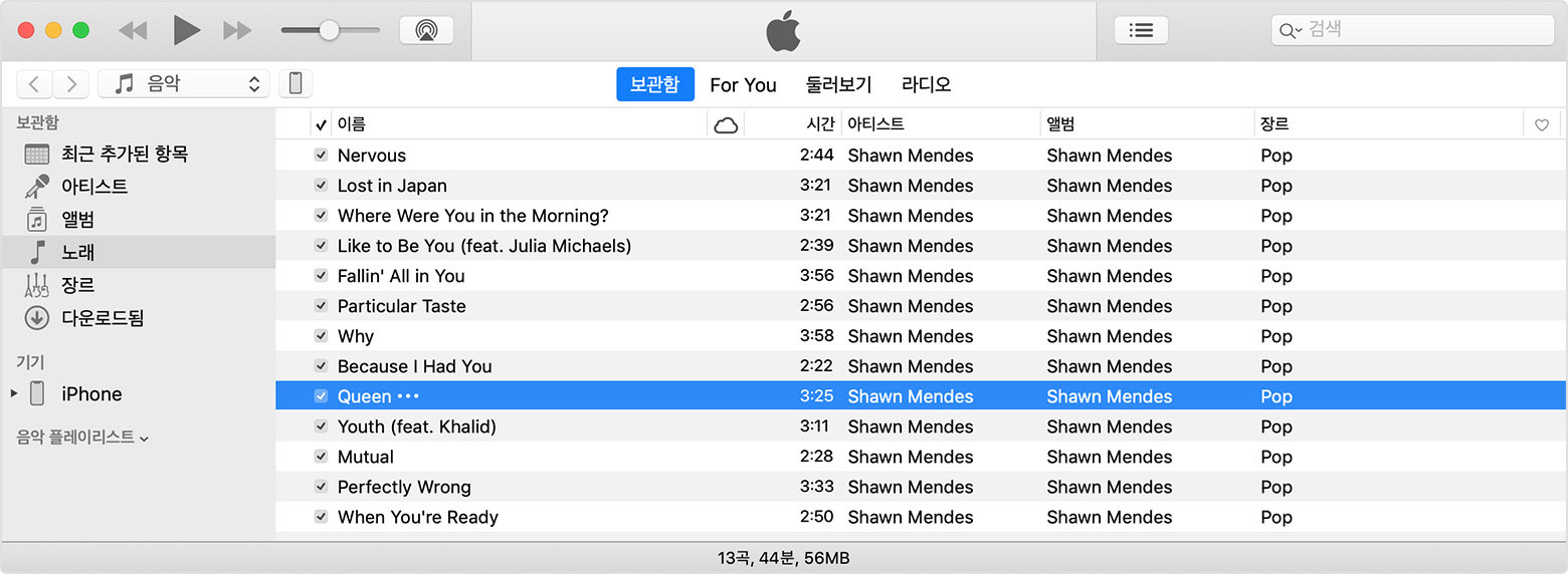 iTunes 보관함에서 선택되어 있는 노래 한 곡.
