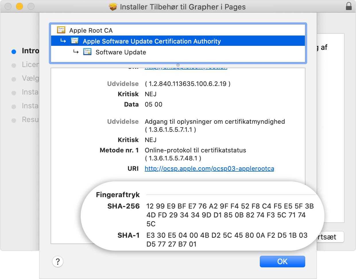 Installer window showing the fingerprints listed in the Details section