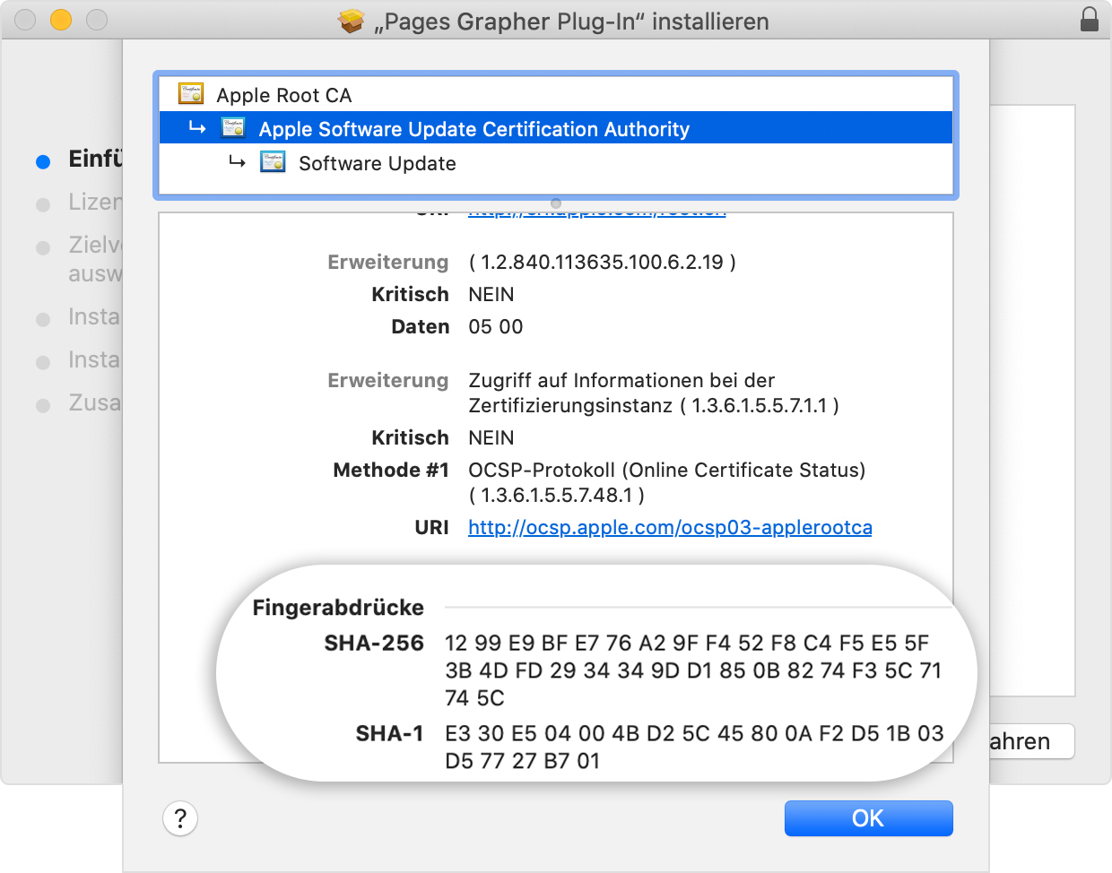 Installer window showing the fingerprints listed in the Details section