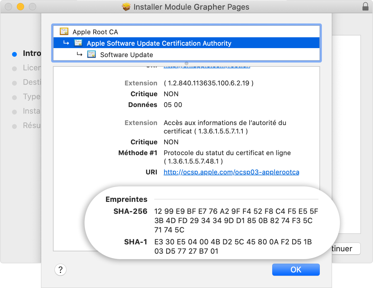 Installer window showing the fingerprints listed in the Details section