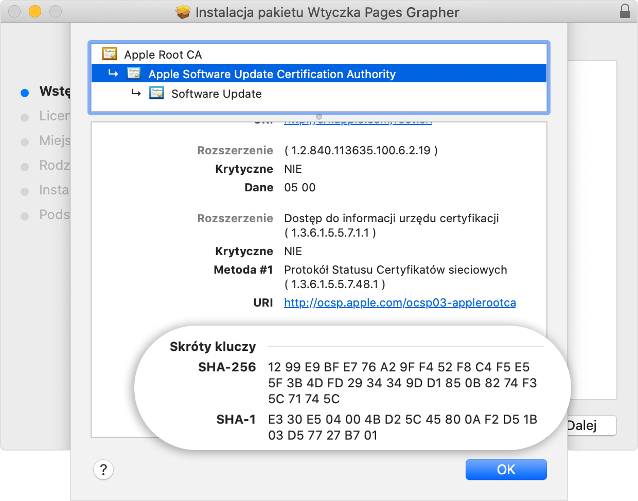 Installer window showing the fingerprints listed in the Details section