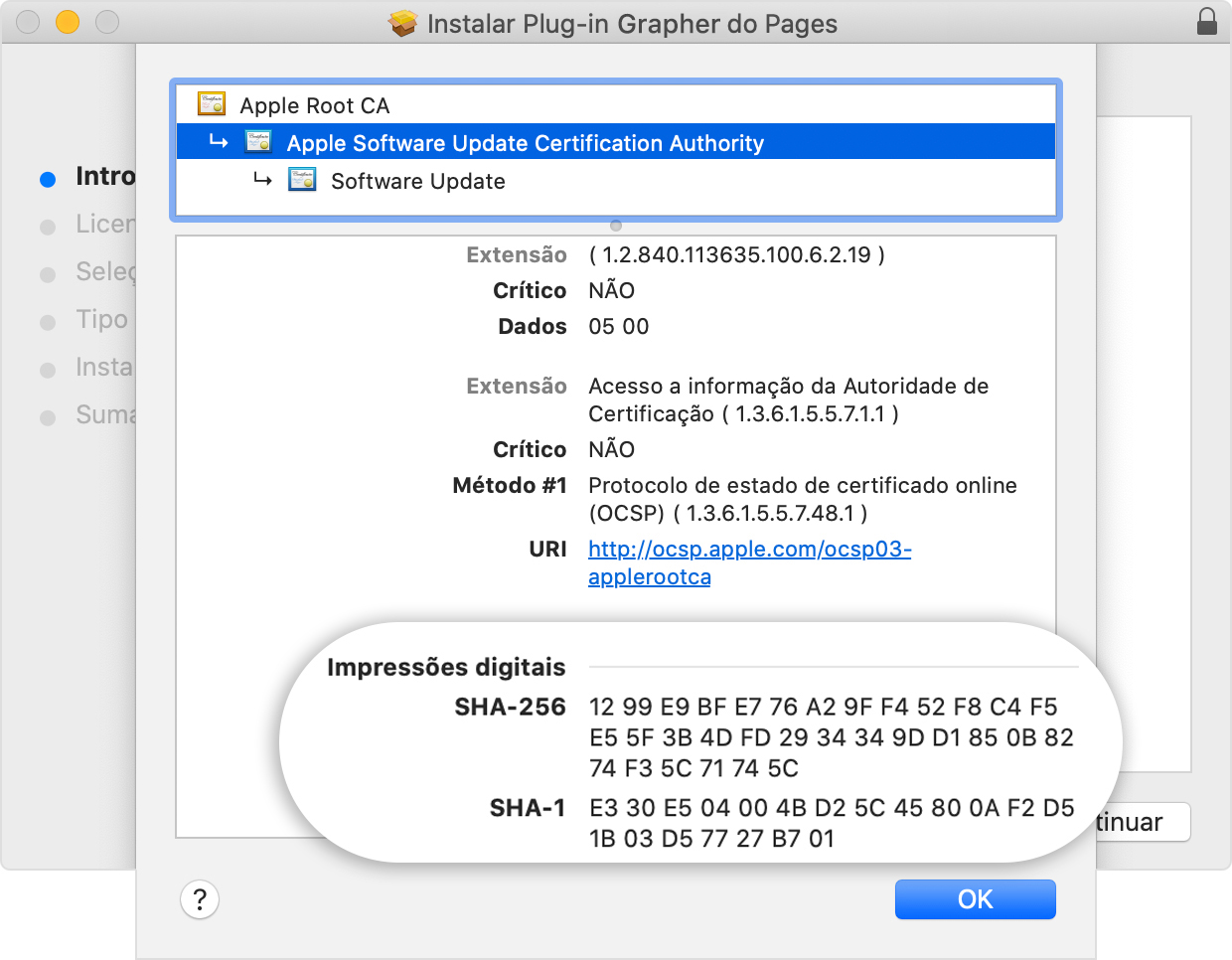 Installer window showing the fingerprints listed in the Details section