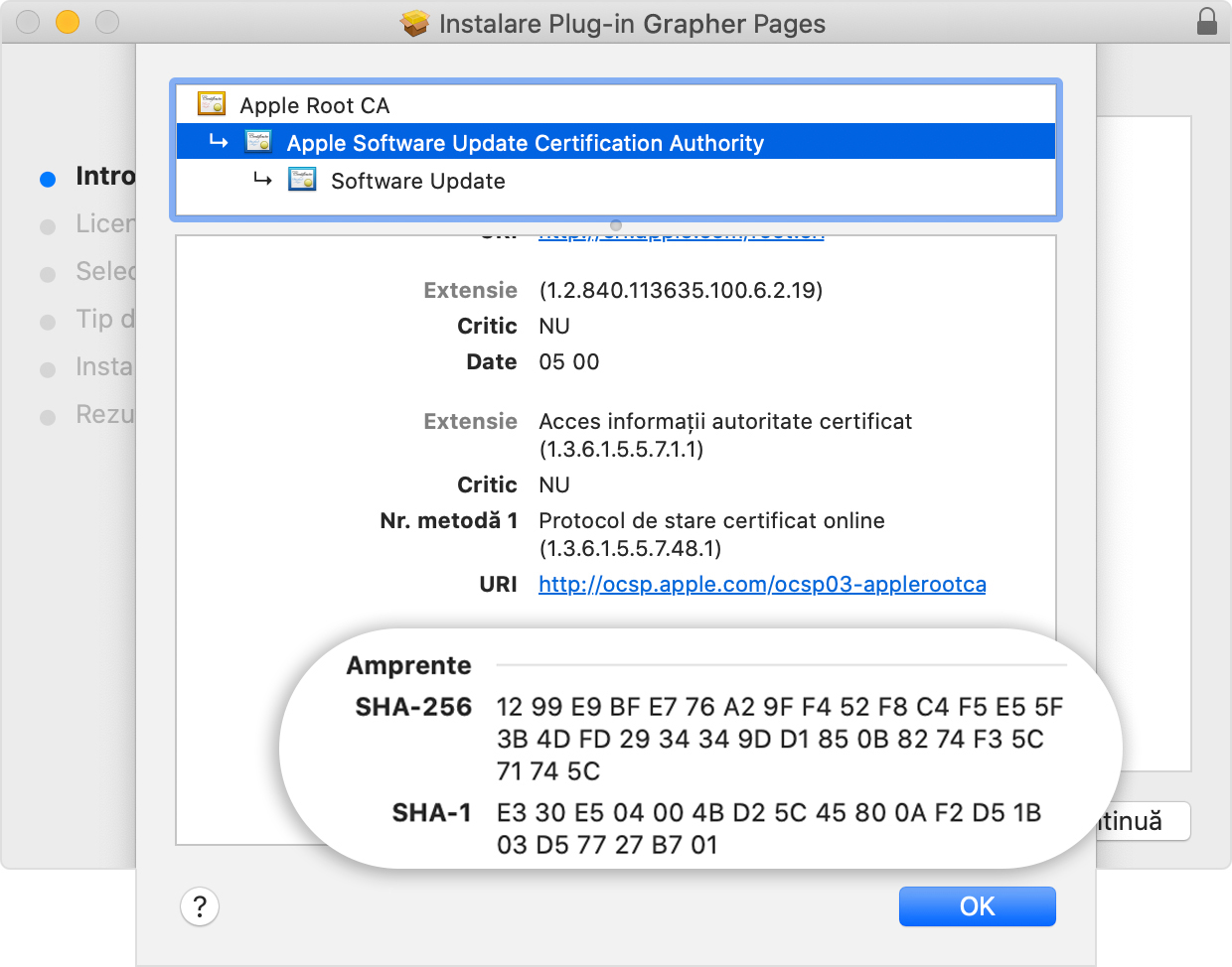 Installer window showing the fingerprints listed in the Details section