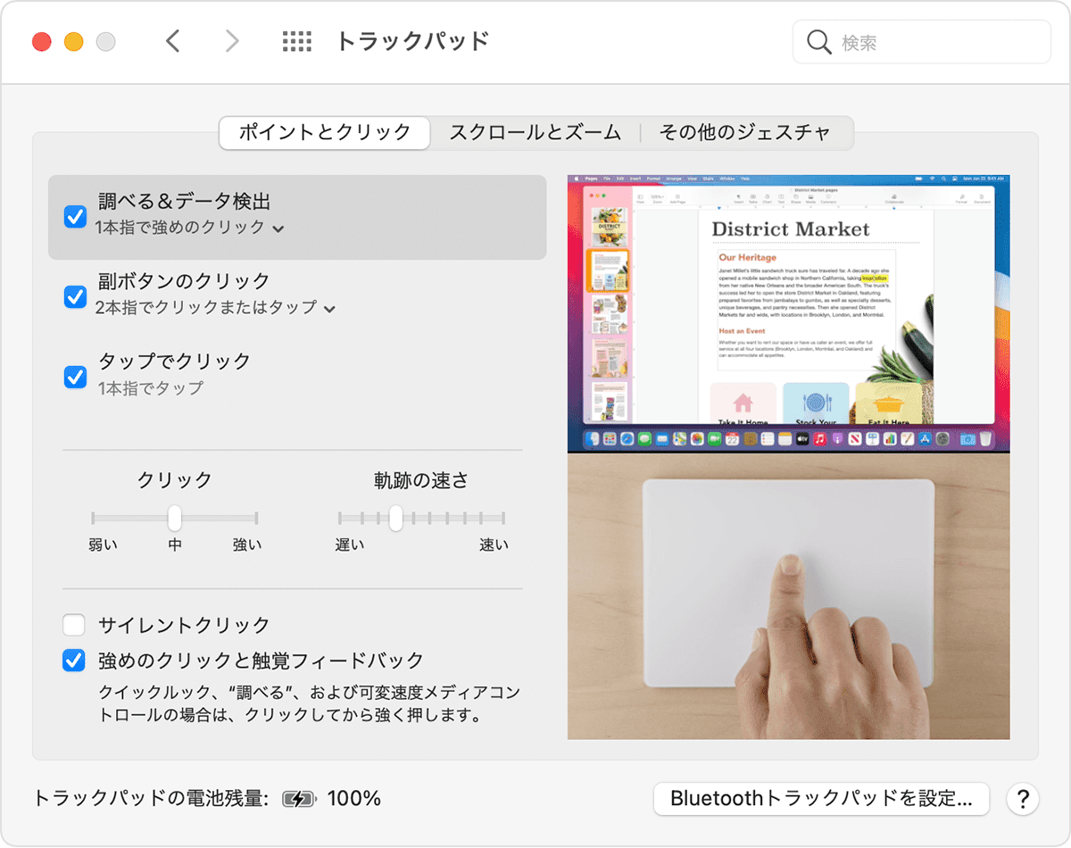 macOS のシステム環境設定の「トラックパッド」パネル