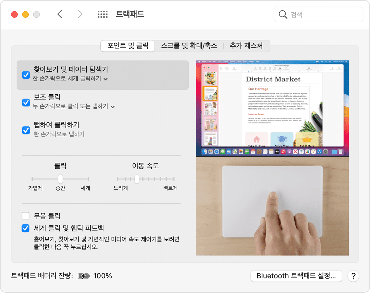 macOS 트랙패드 환경설정 윈도우