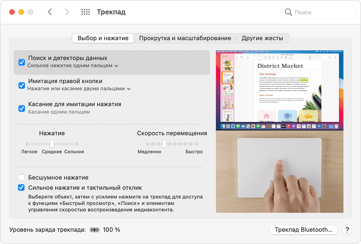 Окно настроек трекпада в macOS