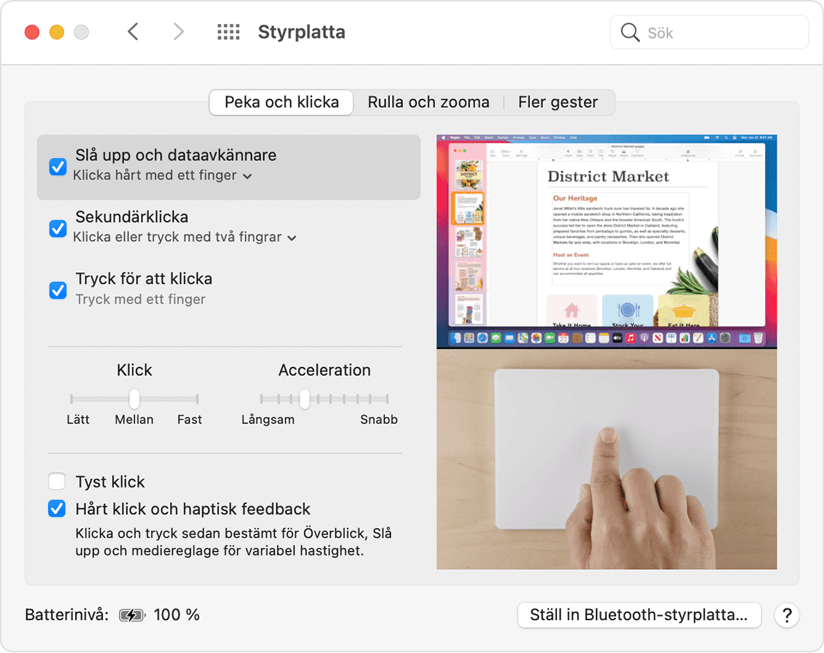 Inställningsfönstret för macOS styrplatta