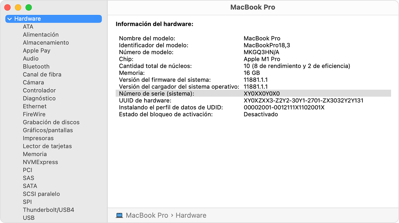 Ventana de Información del Sistema con el número de serie resaltado