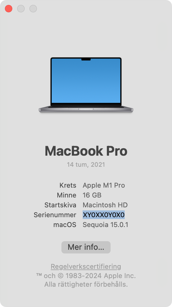 Fönstret Om den här datorn med serienummer markerat