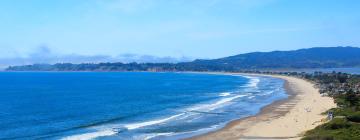 Pet-Friendly Hotels in Stinson Beach