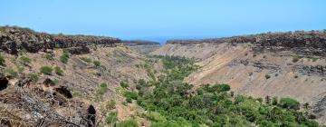 Апартаменти в Ribeira Grande