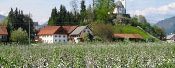 Hotels met Parkeren in Naklo