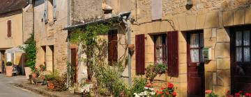 Casas y chalets en Saint-Léon-sur-Vézère