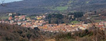 Bed and breakfasts a Sorgono