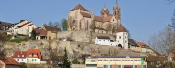 Breisach am Rhein şehrindeki oteller