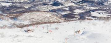 Hoteli u gradu 'Niseko'