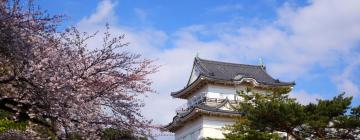 Casas de Hóspedes em Odawara