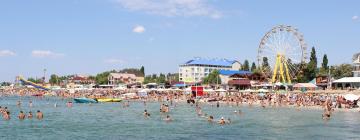 Hotels in Zaliznyi Port