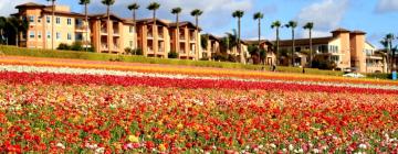 Strandhotels in Carlsbad