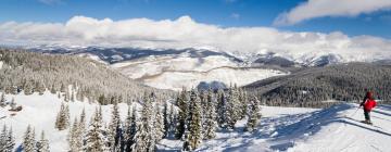 Hôtels pas chers à Vail