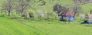 Casas de Hóspedes em Sânmartin