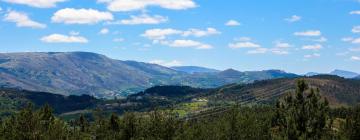 Villur í Ribeira de Pena