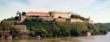 Pet-Friendly Hotels in Petrovaradin