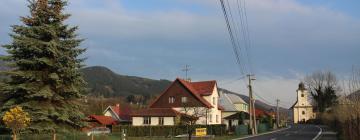 Chalets in Ostravice