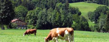 Hoteluri în Lindenberg im Allgäu