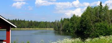 Casas de Férias em Raahe