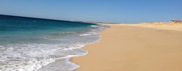 Hotel pantai di Todos Santos