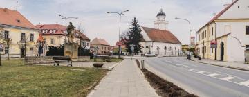 Logements avec cuisine à Pohořelice