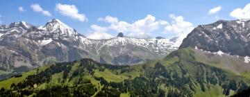 Apartemen di Adelboden