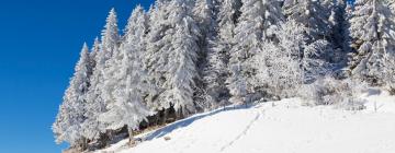 Hotelek Vue-des-Alpes-ban