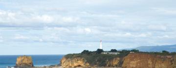 Rumah liburan di Aireys Inlet