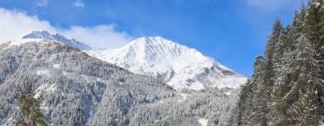 Hoteli u gradu Stuben am Arlberg