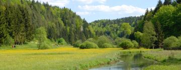 Bad Alexandersbad şehrindeki daireler