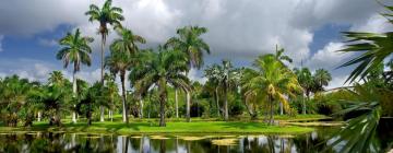 Poceni počitnice v mestu Miami Gardens