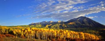 Hoteles que admiten mascotas en Gunnison