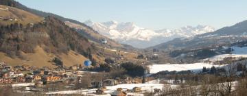 Hotel dengan parkir di Praz-sur-Arly