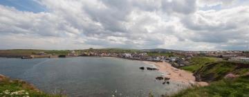 Holiday Rentals in Eyemouth