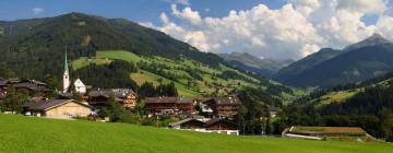 Hotel-hotel bajet di Alpbach