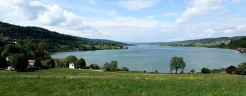 Hoteller i Clairvaux-les-Lacs