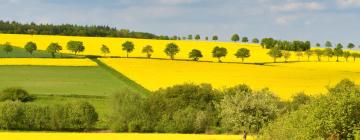 Hoteller i Bad Soden am Taunus