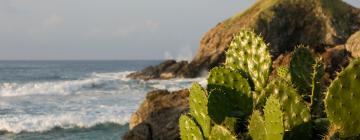 Hoteles en Zipolite