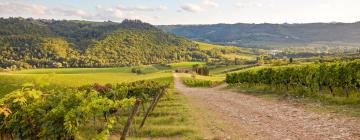 Estadías rurales en San Casciano in Val di Pesa