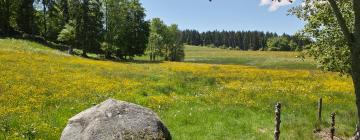 Hoteller i Schönau im Schwarzwald