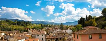 Hotels in Greve in Chianti