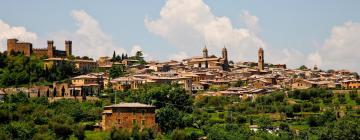 Bed and breakfasts a Montalcino